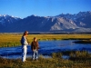 father-and-son-fishing