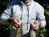 Jim brook trout